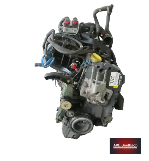 Article DW95