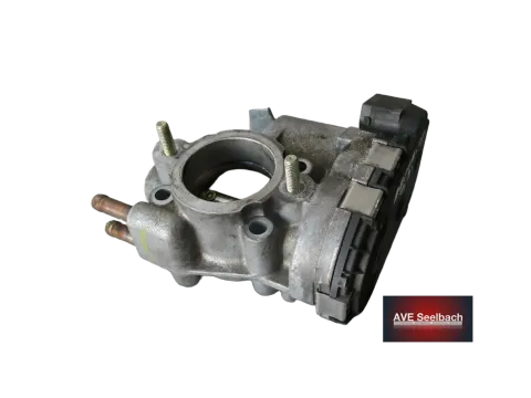 Article WVR6