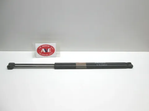 Article 6LZN