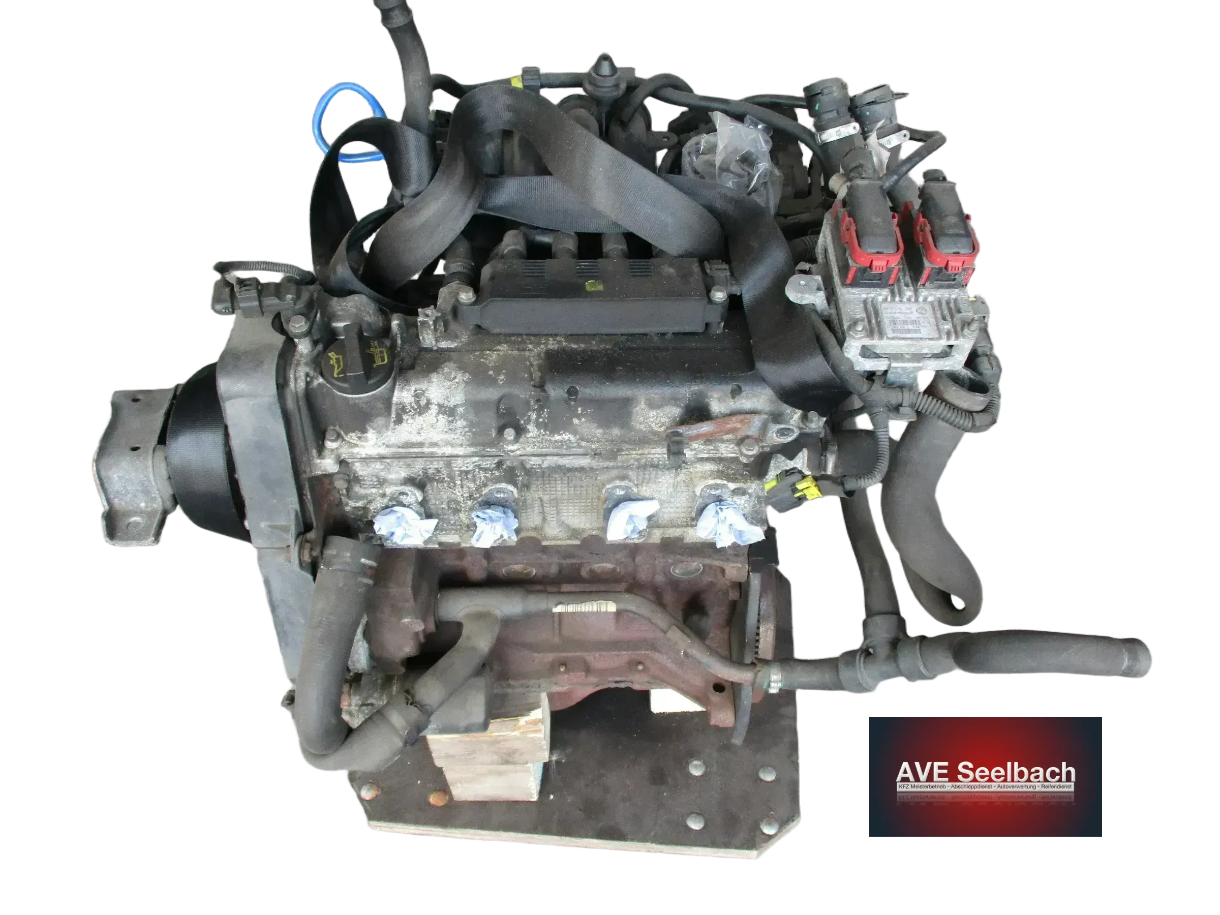 Fiat Punto 199 Motor Bj 2009 1,2l 48kW 199A4000 - Bild 1