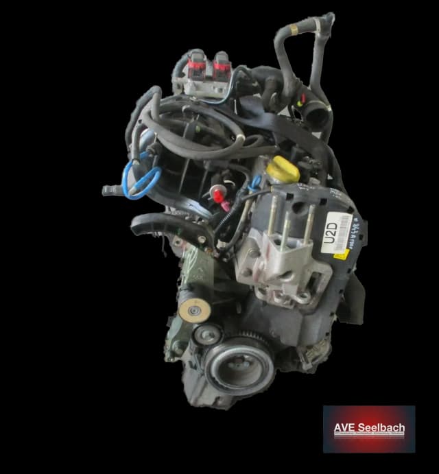 Article DW95