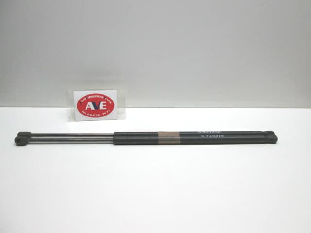 Article 6LZN